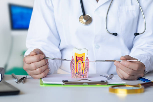 Best Tooth Pain Emergency Relief  in Hidden Hills, CA